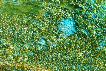 AP 145E1